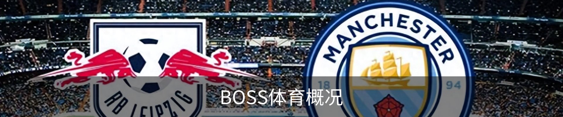 BOSS体育概况
